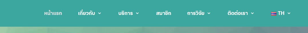 ภาพที่ 1