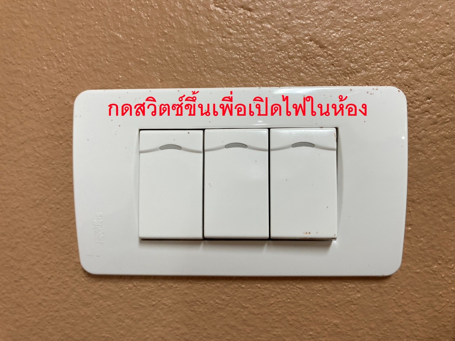ภาพ2